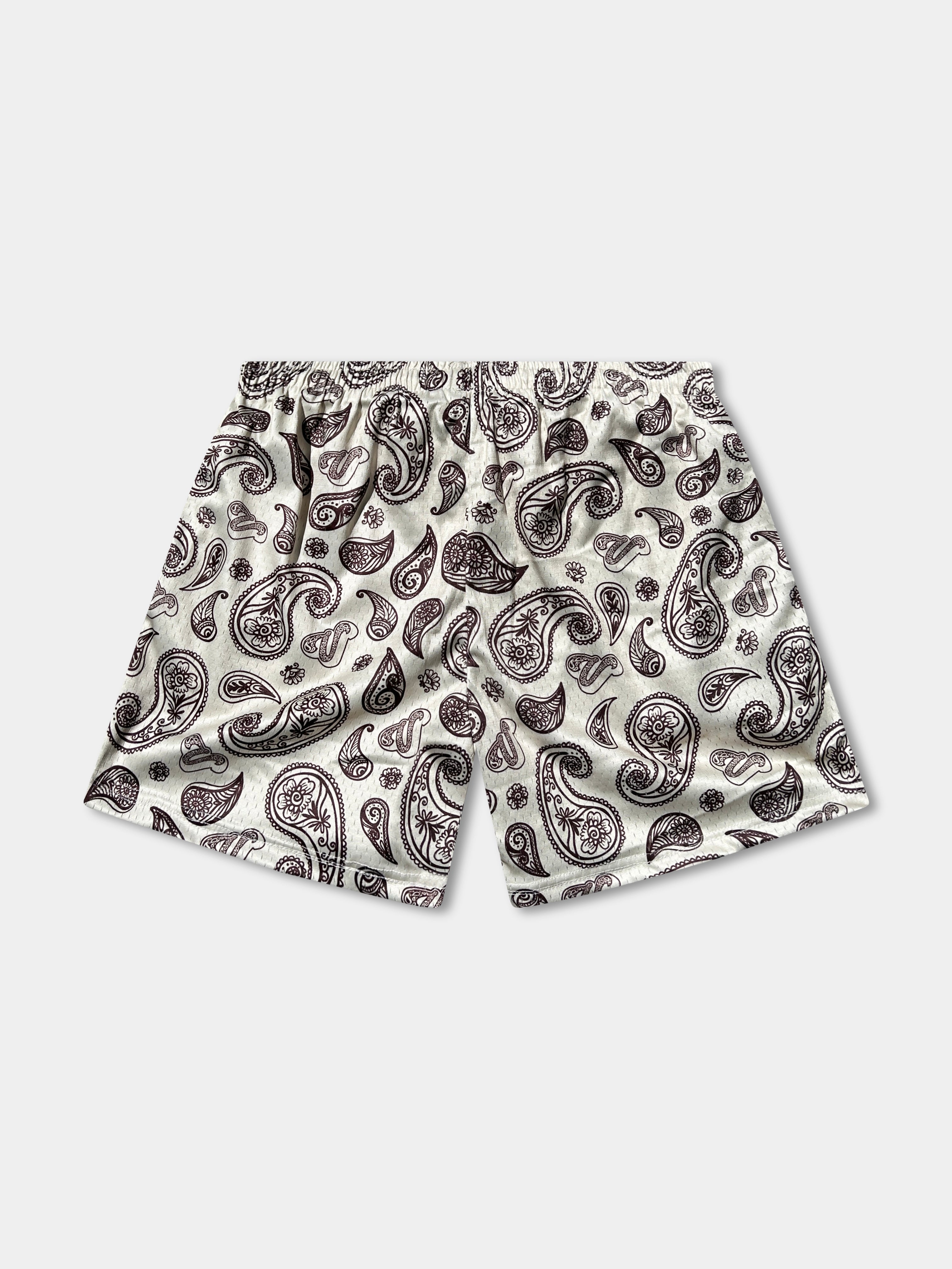 Vibn Paisley Heavyweight Mesh Shorts