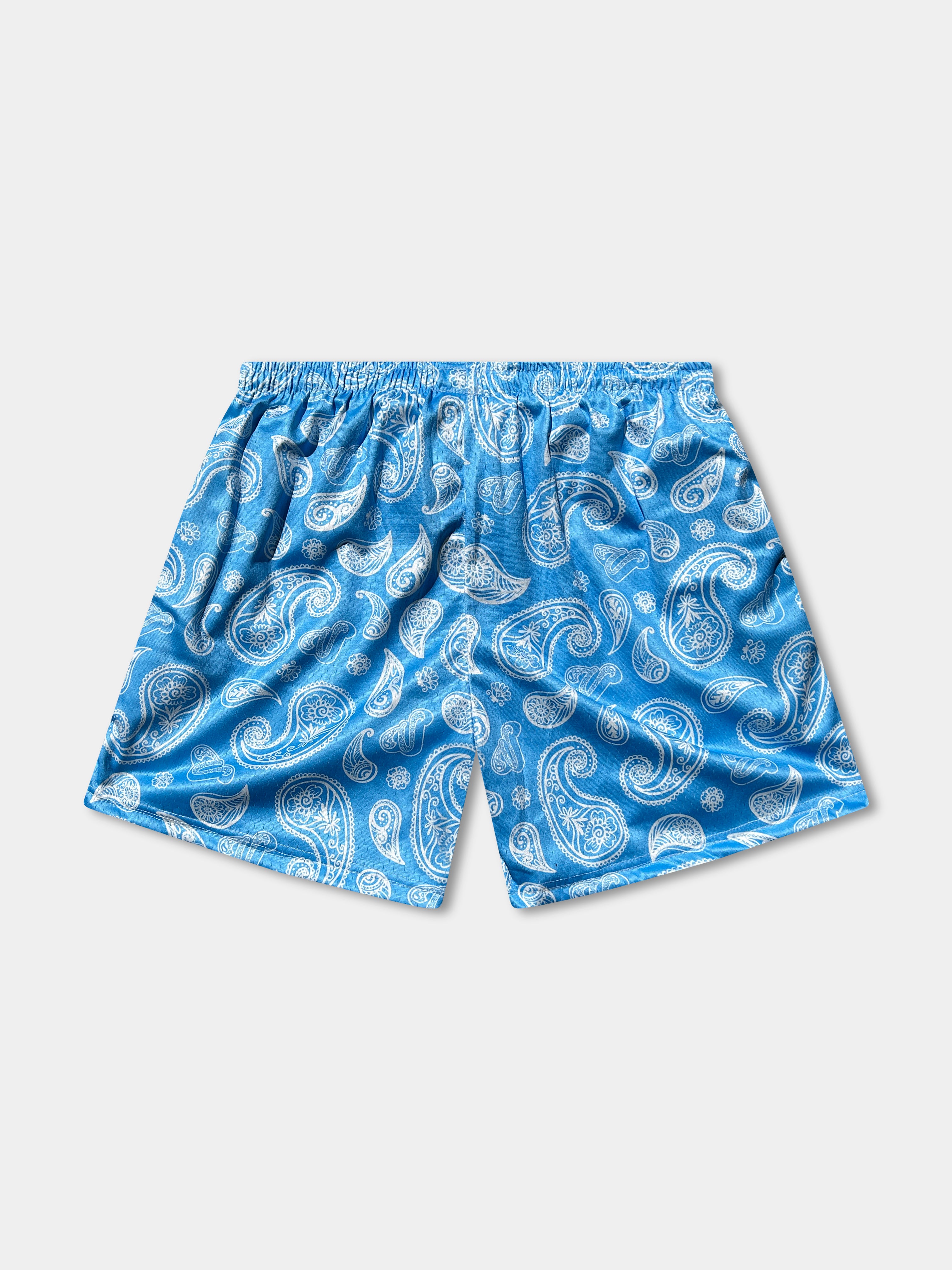 Vibn Paisley Heavyweight Mesh Shorts