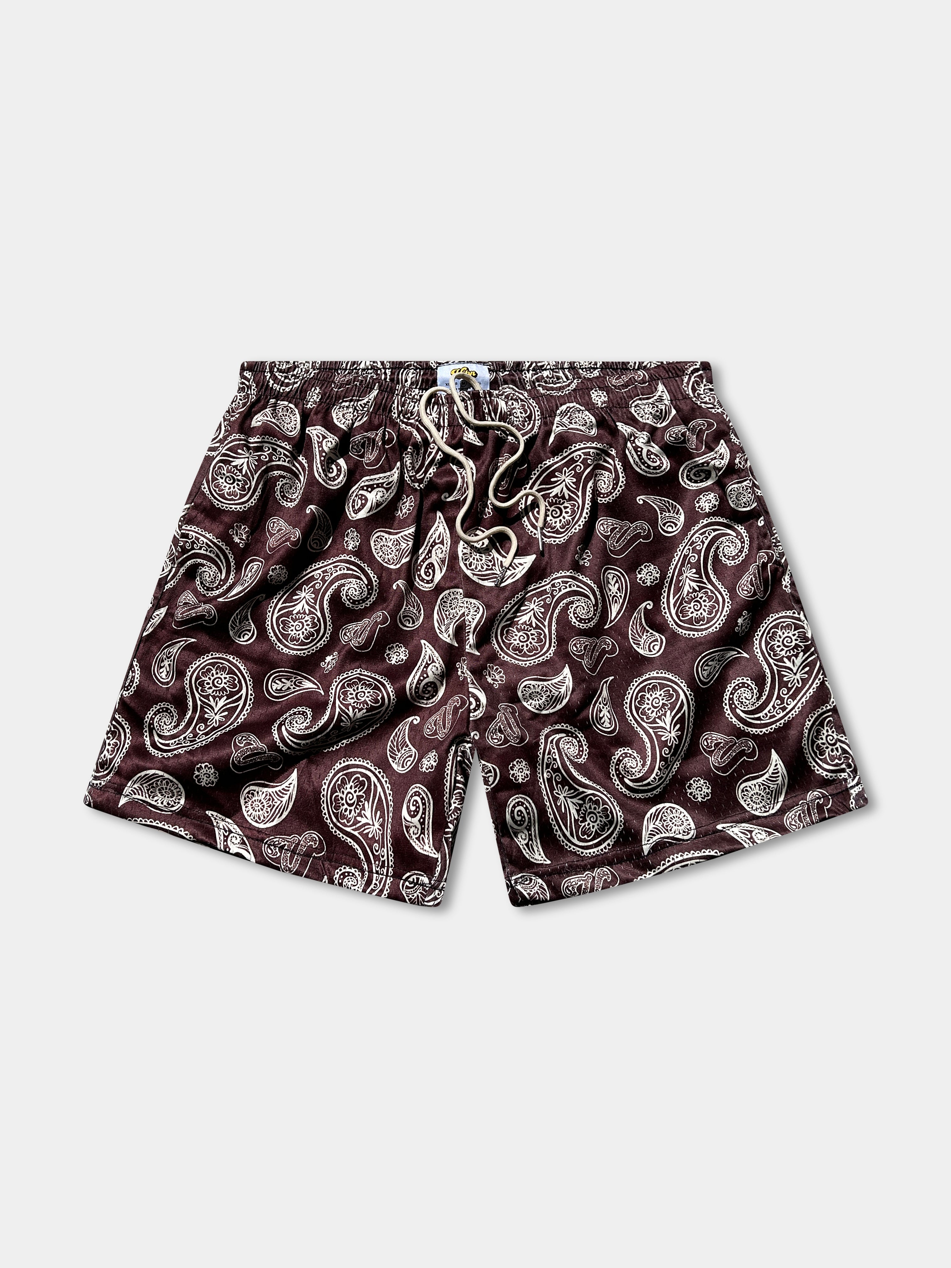 Vibn Paisley Heavyweight Mesh Shorts