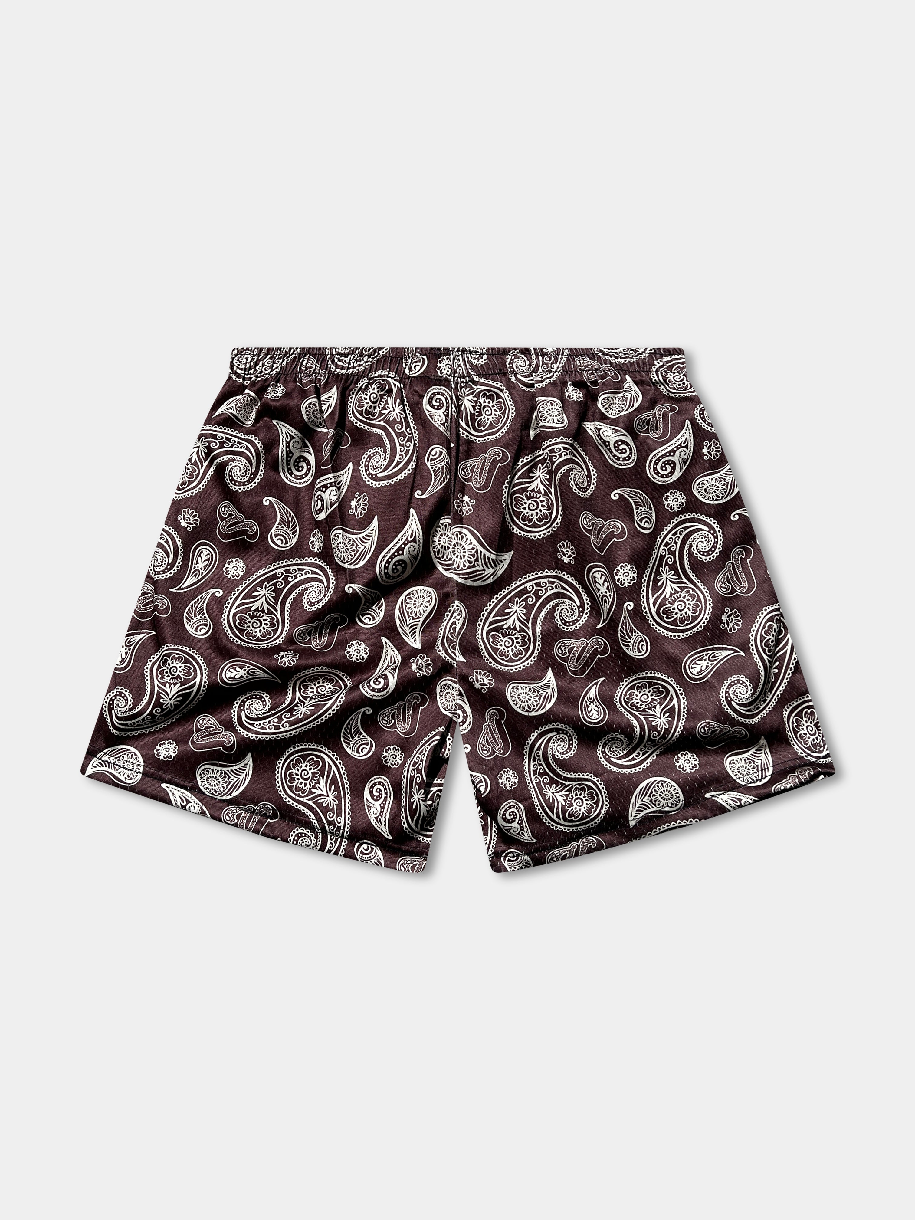 Vibn Paisley Heavyweight Mesh Shorts