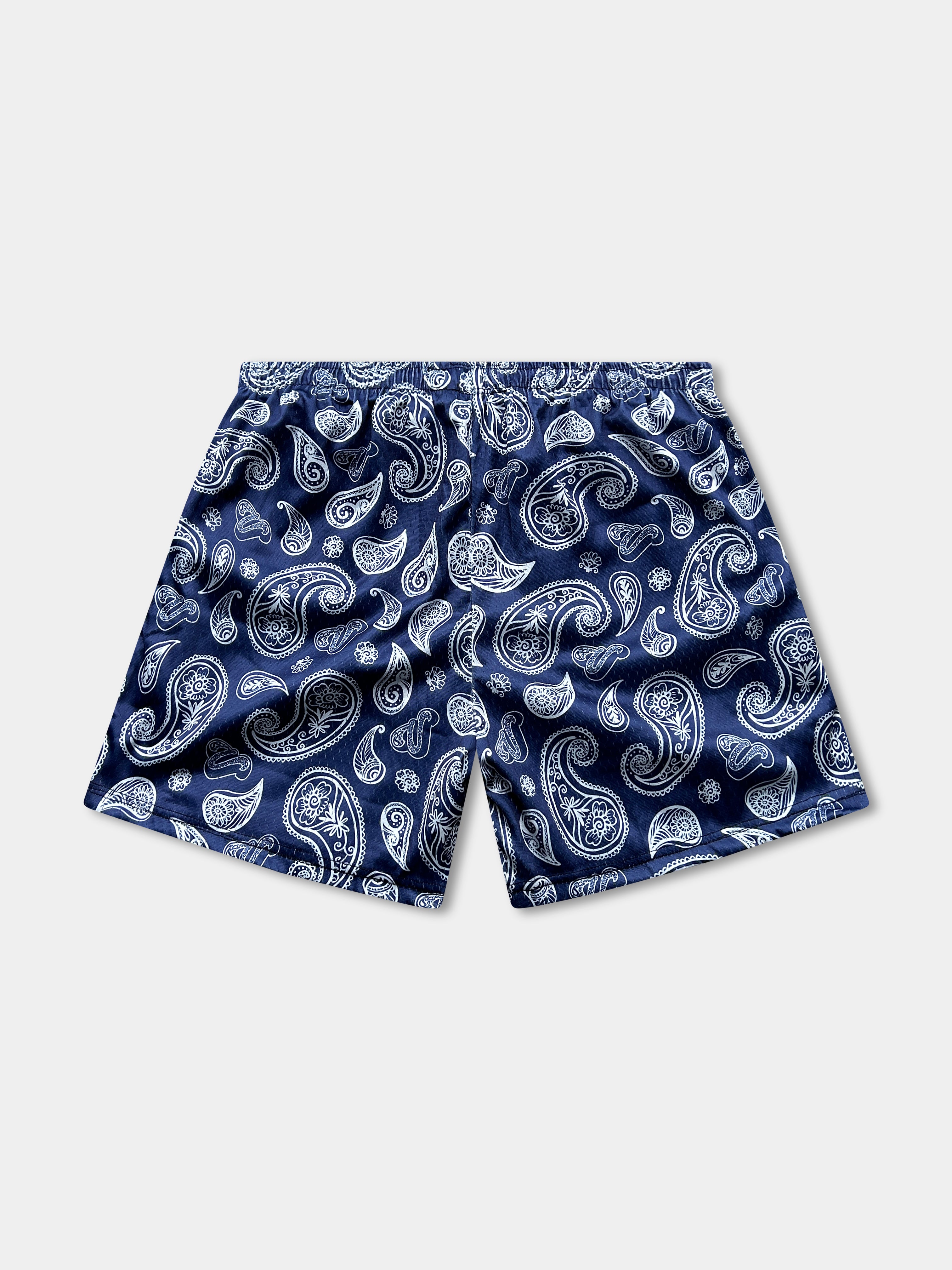 Vibn Paisley Heavyweight Mesh Shorts